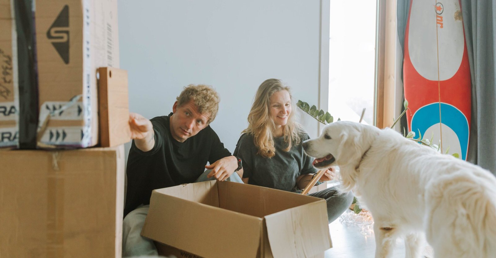 Packing with pets